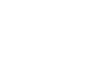 Gayathri 99 developers